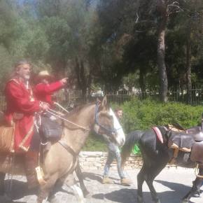 The documenta diaries (part 4): A horse’s&nbsp;tale