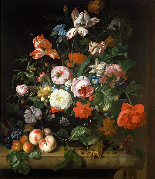 rachelruysch