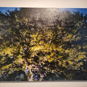 100 years since the Asia Minor&nbsp;Catastrophe